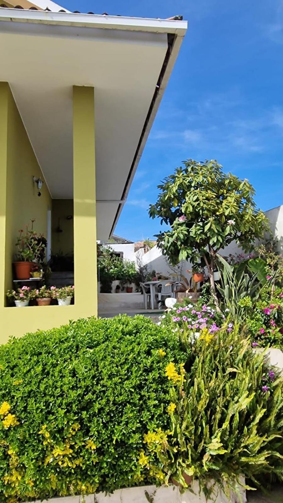 Corazon Do Val Da Lourina-Area Vigo Appartement Comarca de Comarca de Pontevedra Buitenkant foto